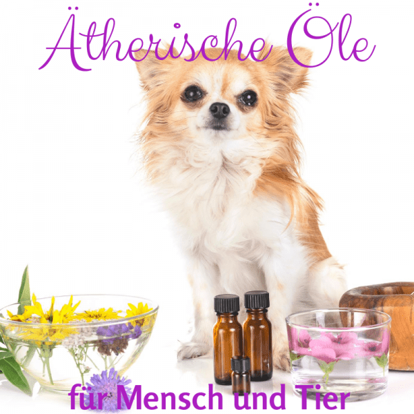 Ätherische Öle für Tiere