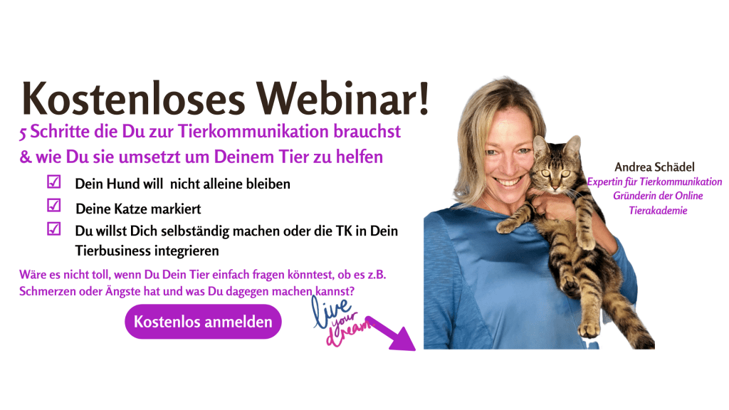 Webinar FB Gruppenfoto richtige Größe(2)